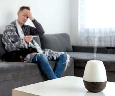what is the best warm mist humidifier