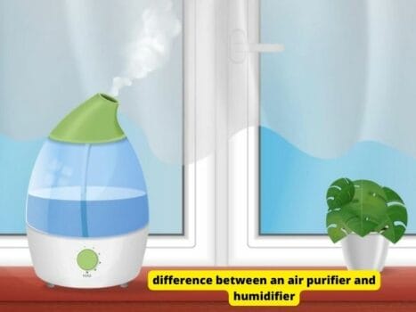 difference between an air purifier and humidifier
