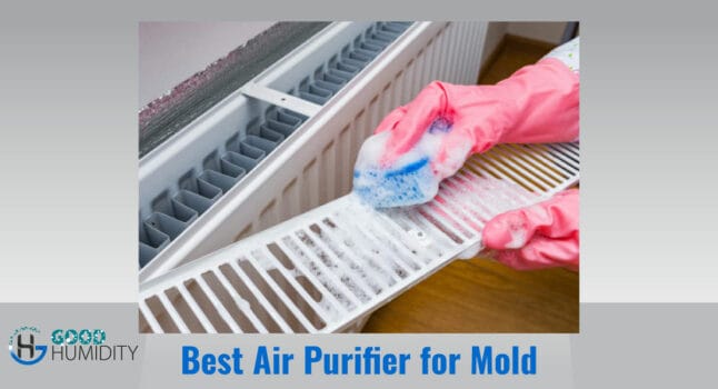 Best Air Purifier For Mold