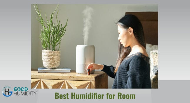Best Humidifier For Room - a black dressed lady adding some fragrance to the humidifier in the morning