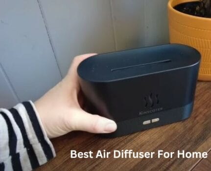 Best Air Diffuser For Home