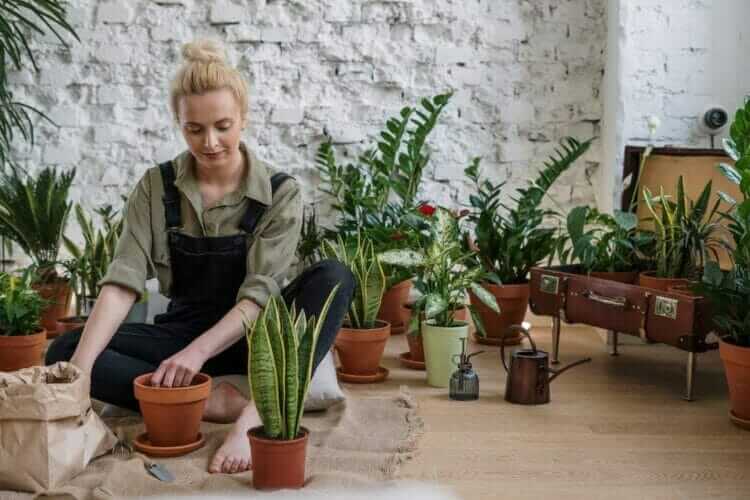 best outdoor plant pots