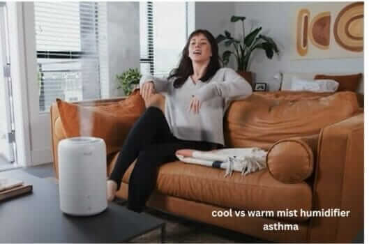 cool vs warm mist humidifier asthma